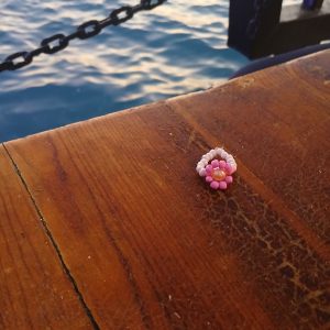 pinky flower🌸