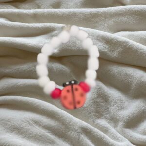 ladybug 🐞