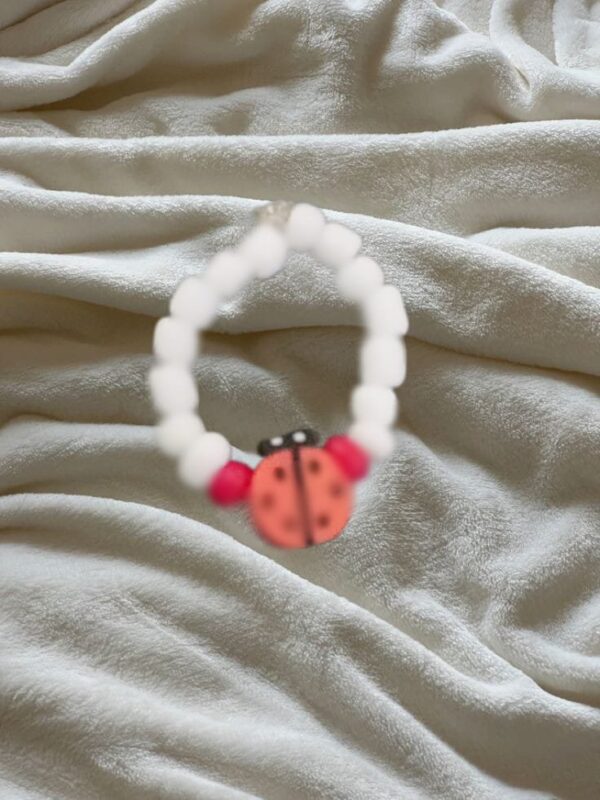 ladybug 🐞